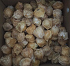 東北姑娘果新鮮當季水果黃菇娘燈籠果酸甜可口甜菇娘特產(chǎn)京東包郵 【帶箱3斤】東北姑娘果 曬單實(shí)拍圖