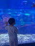 樂(lè )樂(lè )魚(yú)（leleyu）俄羅斯方塊積木3-6歲思維鍛煉拼圖拼裝兒童玩具男女孩生日禮物 曬單實(shí)拍圖
