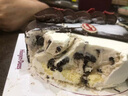 哈根達(dá)斯事事可心蛋糕冰淇淋 520g/6寸 生日蛋糕 配送上門(mén) 生日禮物 七夕 曬單實(shí)拍圖
