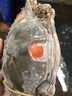 舟山紅膏嗆蟹整只醬母蟹寧波熗蟹梭子蟹咸蟹生腌螃蟹海鮮醉蟹即食 【單只凈重4-6兩】2只 膏紅蟹肥 曬單實(shí)拍圖