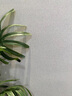 瑪拉彩石涂料內墻外墻地一體免刮膩子馬拉彩石室內藝術(shù)漆地坪漆 純白色-加強升級型 2斤 【試用裝】 曬單實(shí)拍圖