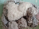 NICI生日禮物生日玩偶烏爾維狼玩偶毛絨玩具可愛(ài)抱枕毛絨娃娃送男孩 曬單實(shí)拍圖