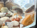 坤寧王金晶超白玻璃魚(yú)缸桌面造景小魚(yú)缸家用客廳裸缸一體缸25*16*18cm 曬單實(shí)拍圖
