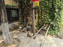 秋葉原（CHOSEAL）RCA蓮花頭數字同軸線(xiàn)音頻線(xiàn) 公對公轉接線(xiàn) SPDIF5.1音響箱電視功放連接線(xiàn) 5米 QS6771T5 曬單實(shí)拍圖