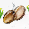 江船長(cháng)無(wú)殼鮑魚(yú)肉凈重110g(12粒） 活鮑加工 火鍋燒烤海鮮 生鮮 曬單實(shí)拍圖
