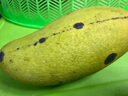 正宗海南三亞金煌芒新鮮水果芒果生鮮現摘水仙芒甜心芒整箱 9斤中果(單果200g+)家庭分享 曬單實(shí)拍圖