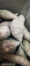 魯禧 山東煙薯烤薯專(zhuān)用 糖心流油滿(mǎn)屋飄香沙地煙薯 香甜烤煙薯 凈重4.5斤（單果1-4兩） 曬單實(shí)拍圖