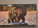 Vidda X 2025款 65英寸 Mini LED【送裝一體版】528分區(qū) 以舊換新家電國家補(bǔ)貼液晶電視空調(diào)最佳CP 曬單實(shí)拍圖