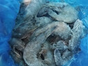 東上御品 國產(chǎn)青島大蝦 特大號白蝦 2030規格 凈重3斤 盒裝活凍 曬單實(shí)拍圖