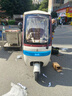 飛鴿電動(dòng)三輪車(chē)電動(dòng)車(chē)小型家用接送孩子老人代步休閑一體棚帶棚三輪車(chē) 超威/天能800W動(dòng)力版+23AH長(cháng)跑王約160里 曬單實(shí)拍圖
