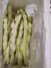 白豆角蕓豆角四季豆現摘白架豆白不老新鮮蔬菜 2斤【普通快遞】 曬單實(shí)拍圖