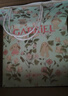 伽百利（Gabriel）毛絨玩偶可愛花耳兔娃娃玩具節(jié)日禮物生日禮物送女生送孩子 W1813A小幸運 裸色禮盒款 30cm 曬單實拍圖