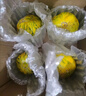 京府香園東北香瓜八里香花蕾甜瓜花姑娘新鮮脆甜應季多汁蜜瓜現摘水果整箱 精選5斤裝 曬單實(shí)拍圖