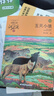 五只小狼升級版 動(dòng)物小說(shuō)大王沈石溪品藏書(shū)系 小學(xué)生課外讀物 課外閱讀 暑期閱讀 課外書(shū) 曬單實(shí)拍圖