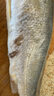 冰鮮部族大黃花魚(yú) 深海大黃魚(yú)海捕活凍鮮活大海魚(yú)鮮海鮮水產(chǎn) 【深海大黃花魚(yú)250g*4條】2斤裝 曬單實(shí)拍圖