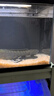 當貝智能生態(tài)魚(yú)缸1SUltra 桌面魚(yú)缸 財運石造景套餐 新老款隨機發(fā)貨 曬單實(shí)拍圖