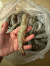 東上御品 國產(chǎn)青島大蝦 特大號白蝦 2030規格 凈重3斤 盒裝活凍 曬單實(shí)拍圖