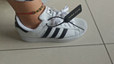阿迪達(dá)斯Adidas Superstar 2三葉草貝殼頭潮流運(yùn)動青少年男女板鞋JH9976 曬單實(shí)拍圖