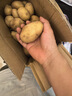 京鮮生恩施小土豆凈重4.5斤單果30-100g 新鮮黃心土豆 馬鈴薯源頭直發(fā) 曬單實(shí)拍圖