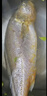 1號會員店【山姆同廠】冷凍寧德三去大黃魚 黃花魚 凈重700g/2條裝 水產(chǎn)魚 曬單實拍圖