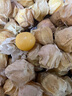 京覓 東北姑娘果1.5kg 黃菇娘水果新鮮燈籠果果洋菇娘 源頭直發(fā)生鮮 曬單實(shí)拍圖