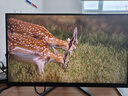 AOC 27英寸2K 240Hz超頻260Hz FastIPS 0.3ms HDR400硬件低藍(lán)光 FPS游戲電競(jìng)顯示器 宙斯盾Q27G4Z 曬單實(shí)拍圖
