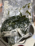 新鮮鹽漬海帶嫩苗涼拌菜火鍋食材超厚海帶根整箱5斤 新鮮鹽漬海帶絲5斤裝 曬單實拍圖