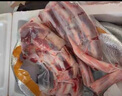 牛尾骨 散養新鮮牛尾一整根 整條帶肉去皮牛尾巴 新鮮牛尾生鮮 5斤牛尾整根【帶大骨】 曬單實(shí)拍圖