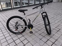 鳳凰上海鳳凰山地車(chē)自行車(chē)男士女式學(xué)生成人變速寬胎越野公路賽單車(chē) 【鋼架/全套競速軸承】條輪消灰 26寸24速【建議身高158-188cm】 曬單實(shí)拍圖