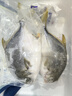 翔泰 海南金鯧魚(yú)凈重900g 2條裝  魚(yú)類(lèi)生鮮 火鍋食材 海鮮水產(chǎn) 中秋 曬單實(shí)拍圖