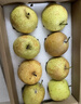 京覓江蘇無(wú)錫翠冠梨 凈重5.6斤 單果350g+ 8個(gè) 生鮮水果 源頭直發(fā)包郵 曬單實(shí)拍圖