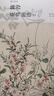 陳淳花鳥(niǎo)畫(huà)譜2 湖山畫(huà)譜明清花鳥(niǎo)畫(huà)譜系列第三輯 浙江人民美術(shù)出版社 湖山書(shū)畫(huà) 曬單實(shí)拍圖