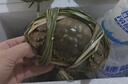 鄱陽(yáng)湖（POYANG LAKE）【活蟹】【順豐空運】鄱陽(yáng)湖大閘蟹精挑活螃蟹現貨活鮮湖蟹禮盒裝 全母蟹精挑【3-3.3兩】8只 曬單實(shí)拍圖