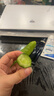 東北特產(chǎn)天然旱黃瓜刺黃瓜小青瓜水果黃瓜生吃黃瓜新鮮凈重發(fā)貨 5斤黃瓜 曬單實(shí)拍圖