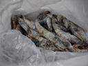 東上御品 國產(chǎn)青島大蝦 特大號白蝦 2030規格 凈重3斤 盒裝活凍 曬單實(shí)拍圖