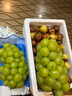 京鮮生國產(chǎn)陽(yáng)光玫瑰凈重3斤裝單果13g葡萄/提子生鮮水果源頭直發(fā)包郵 曬單實(shí)拍圖