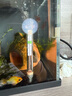 創(chuàng  )寧魚(yú)缸石英變頻加熱棒 CN-605-50W 低水位烏龜小型迷你自動(dòng)恒溫器 曬單實(shí)拍圖