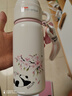 Diller兒童保溫杯吸管杯直飲杯316不銹鋼水壺幼兒園小學(xué)生上學(xué)專(zhuān)用水杯 櫻花熊貓保溫杯 500ml 吸管+直飲 曬單實(shí)拍圖