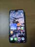 小米（MI）Xiaomi 17 Pro Max 徠卡光影大師人像 第五代驍龍8至尊版 6.9英寸120Hz陽(yáng)光屏 小米手機17promax 森野綠 12GB+512GB 曬單實(shí)拍圖