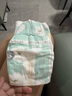 好奇（Huggies）小森林深睡大師系列紙尿褲試用裝M4片透氧防漏尿不濕 曬單實(shí)拍圖