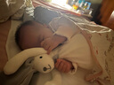 澳貝（auby）嬰幼兒玩具小兔安撫巾寶寶哄睡神器阿貝貝新生兒毛絨手偶滿(mǎn)月禮物 曬單實(shí)拍圖