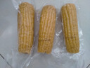 京覓東北黃糯玉米260g*8棒 甜黏玉米棒早餐 低脂代餐 真空裝 源頭直發(fā) 曬單實(shí)拍圖