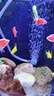 森森魚(yú)缸增氧泵水族箱氧氣泵LQE-50家用小型充氧泵3W單孔+全套配件 曬單實(shí)拍圖