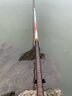 光威（GW） 光威魚(yú)竿龍云三代五代超硬臺釣竿 碳素魚(yú)竿超硬魚(yú)桿28調鯉魚(yú)黑坑 8.1m 龍云五代 曬單實(shí)拍圖