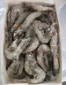 鮮京采 厄瓜多爾白蝦 凈重3斤/盒 特大號20-30規格   30-45只/盒 曬單實(shí)拍圖