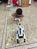 速動(dòng)力（RAPIDPOWER）deepseek機器狗智能AI機器人12兒童圣誕玩具6-10歲男孩十生日禮物 Deepseek+語(yǔ)音通話(huà)【AI對話(huà)+動(dòng)作編程】夾子款 曬單實(shí)拍圖
