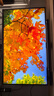 FFALCON雷鳥(niǎo)32U8 31.5英寸4K165Hz 1400分區QD-MiniLED高刷電競游戲顯示器 Type-C90W 旋轉升降辦公電腦顯示屏 曬單實(shí)拍圖