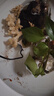 森森（SUNSUN）耀藍魚(yú)缸水泵小型潛水泵過(guò)濾泵抽水泵YQP-300 3W 曬單實(shí)拍圖