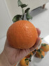 春公子正宗四川愛(ài)媛38號果凍橙 時(shí)令水果橘子 當季桔子應季柑橘禮盒 整箱9-10斤裝一級果70-80mm凈重8.5斤+ 曬單實(shí)拍圖