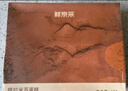 鮮京采提拉米蘇蛋糕【新款】400g/6塊裝冰淇淋雪糕零食糕點茶歇教師節(jié) 曬單實拍圖